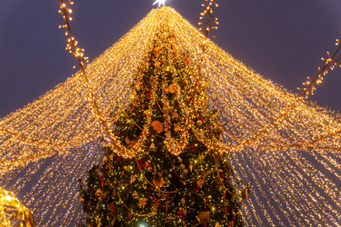 Similar image 21258014