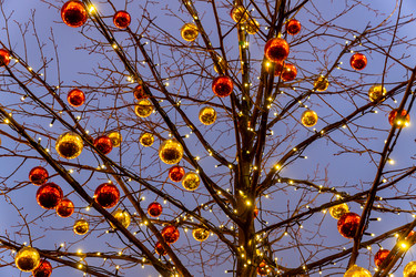 Similar image 21254635