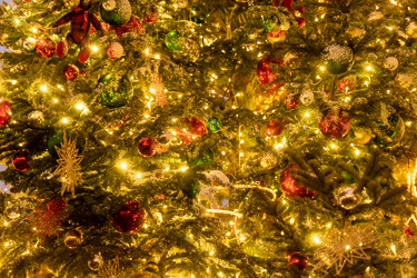 Similar image 21254637