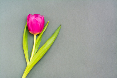 Similar image 21251165