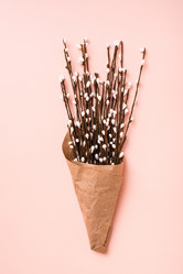 Similar image 21205000