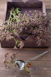 Similar image 21251173