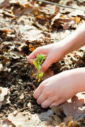 Similar image 21251210