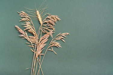 Similar image 21233283