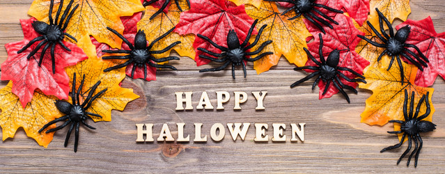 Similar image 21233330