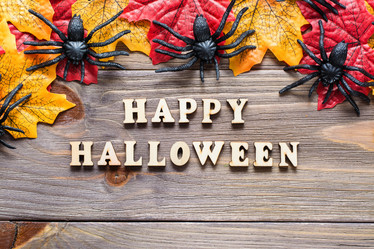 Similar image 21233336