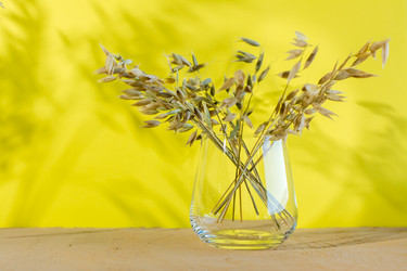 Similar image 21233337