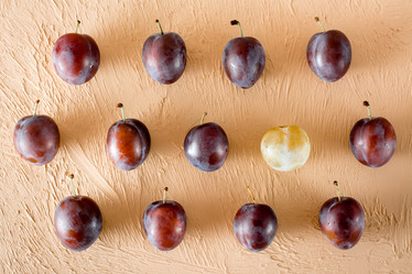 Similar image 21222451