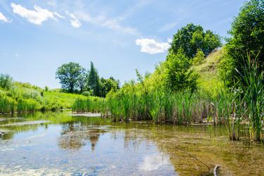 Similar image 21223948