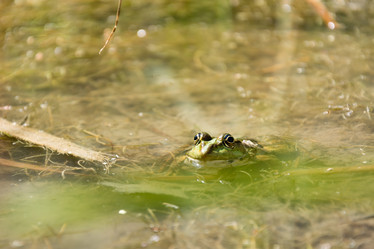 Similar image 21223954