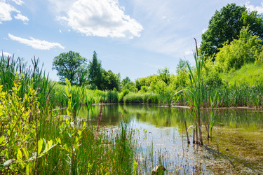 Similar image 21223972