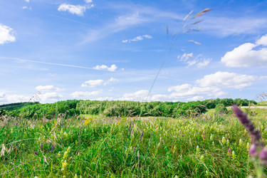 Similar image 21232874