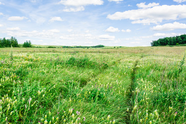 Similar image 21233341