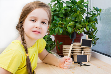 Similar image 21251069