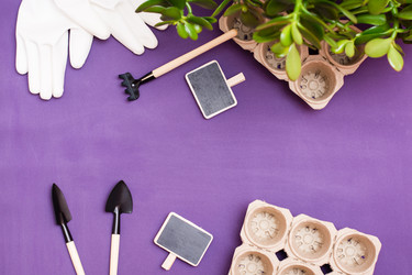 Similar image 21251249