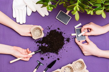 Similar image 21251253