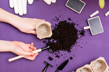 Similar image 21251255