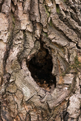 Similar image 21204677