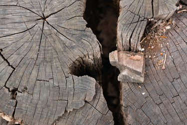 Similar image 21205062