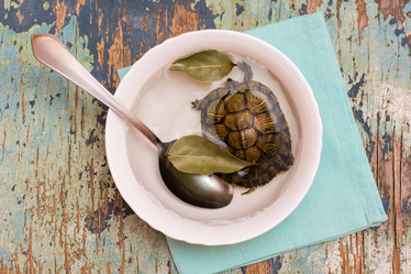 Similar image 21205083