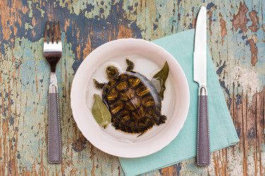 Similar image 21205087