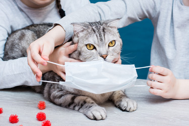 Similar image 21205094