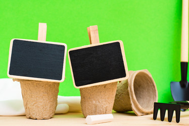 Similar image 21233447