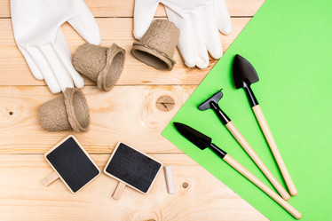 Similar image 21233451