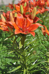 Similar image 21247198