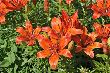 Similar image 21247200