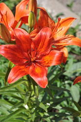 Similar image 21247201