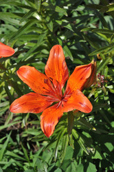 Similar image 21247202