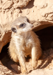 Similar image 21231260