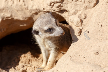 Similar image 21231450