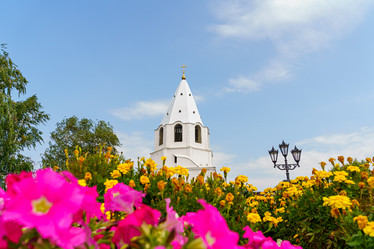 Similar image 21231648