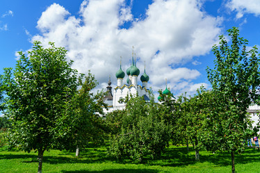 Similar image 21231688