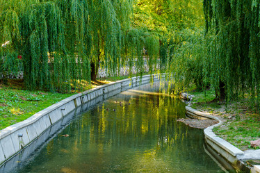 Similar image 21231474