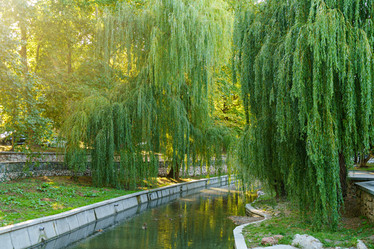 Similar image 21231477