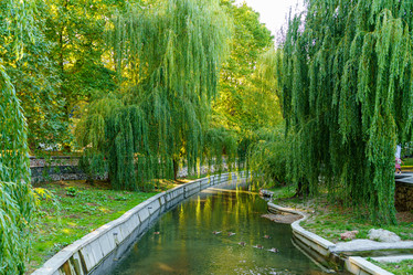 Similar image 21231479