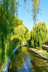 Similar image 21231489