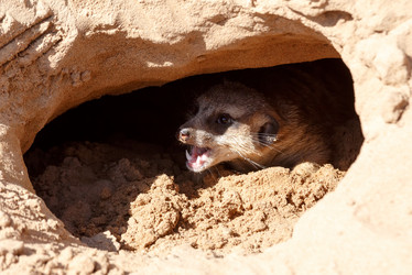 Similar image 21231973