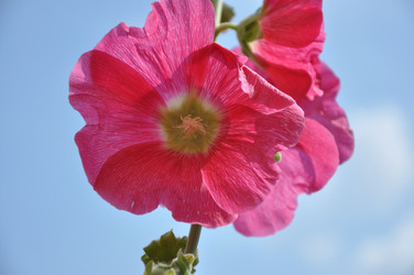 Similar image 21220876