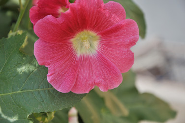 Similar image 21220877