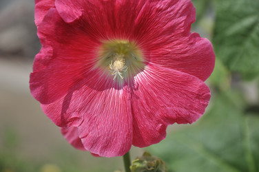 Similar image 21220878