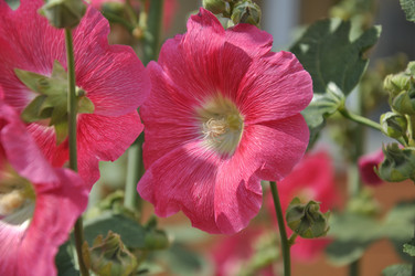 Similar image 21220880