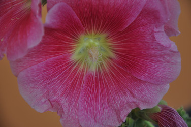 Similar image 21220882