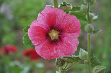 Similar image 21220883