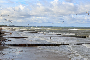 Similar image 21231659