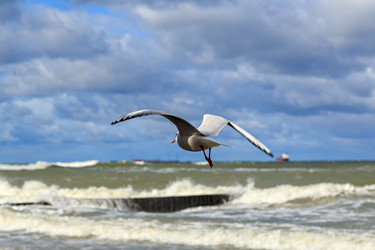 Similar image 21231790