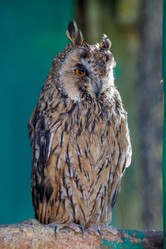 Similar image 21231983